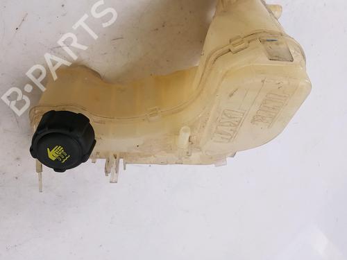 Expansion tank RENAULT LAGUNA III (BT0/1) 1.5 dCi (BT00, BT0A, BT0T, BT1J) | BP13680246C120 