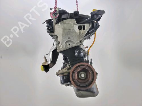 Used Engine RENAULT CLIO III (BR0/1, CR0/1) 1.2 16V (BR02, BR0J, BR11, CR02, CR0J, CR11) (75 hp) 29389734