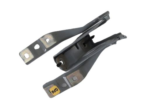hingedoor-check-strap-renault-clio-v-b7_-2019-34642481 main image