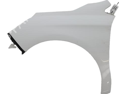 left-front-fenders-citroen-c4-ii-nc_-2009-35778343 main image