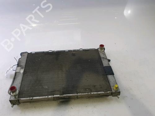 Used Water radiator RENAULT CLIO III (BR0/1, CR0/1) [2005-2014]  28486648