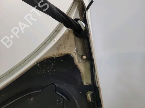 Hood PEUGEOT 206+ (2L_, 2M_) 1.4 HDi eco 70 | BP31367722C1