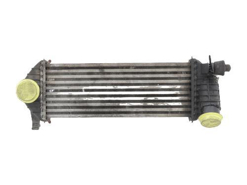 Used Intercooler RENAULT KANGOO Express (FW0/1_) 1.5 dCi 85 (FW0K, FW0L, FW0B) (86 hp) 30918029
