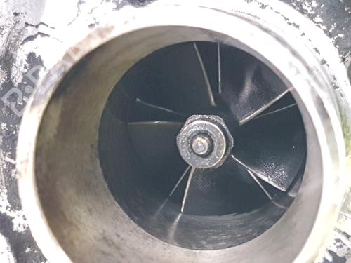Engine RENAULT CLIO II (BB_, CB_)  | BP28207833M1 