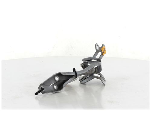Hinge/Door check strap PEUGEOT 107 (PM_, PN_) 1.4 HDi | BP27907287C146 