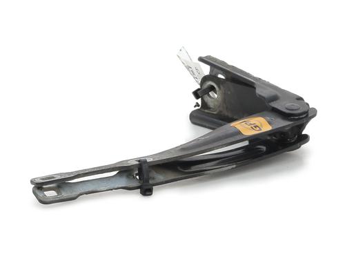 Hinge/Door check strap DACIA DUSTER (HS_) 1.6 16V | BP27912644C146 