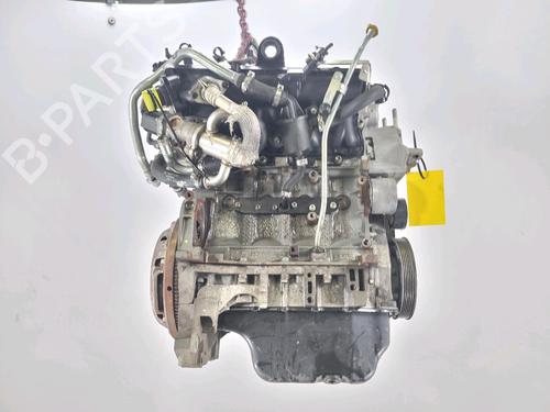Engine FIAT PANDA (169_) 1.3 D Multijet (169.AXC1A) | BP25983416M1