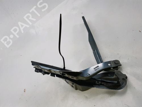 Used Hinge/Door check strap PEUGEOT 407 (6D_) 2.0 (6DRFNB, 6DRFNE) (136 hp) 27919393