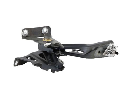 Hinge/Door check strap NISSAN MICRA V (K14) 1.0 IG-T 100 | BP32225701C146