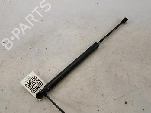 Used Hood lift support DACIA LODGY (JS_) 1.2 TCe (JSAY, JSM0) (115 hp) 27916987