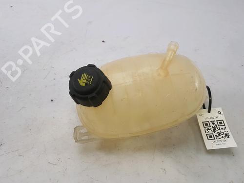 Used Expansion tank DACIA SANDERO II 1.5 Blue dCi 95 (B8JL) (95 hp) 13680282