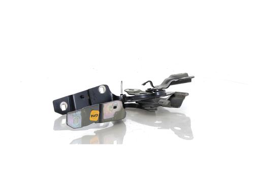 Hinge/Door check strap RENAULT ZOE (BFM_) ZOE (BFMC, BFMD) | BP27902754C146 