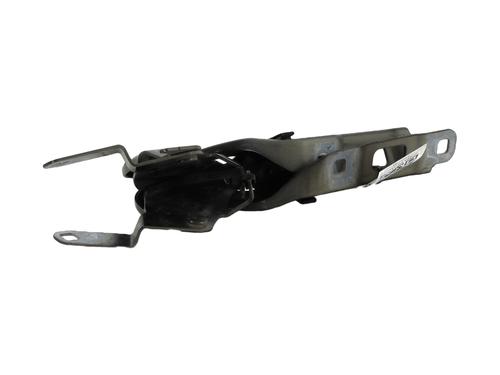 Hinge/Door check strap PEUGEOT 208 II (UB_, UP_, UW_, UJ_) 1.2 PureTech 75 | BP29579030C146 