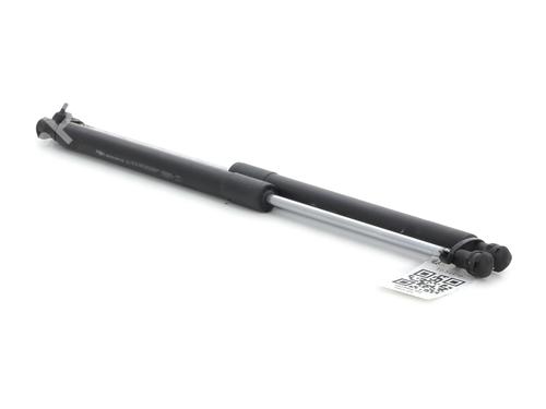 Gassdemper Bakluke RENAULT CLIO III (BR0/1, CR0/1) 1.5 dCi | BP27912049C138 