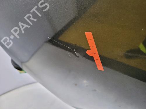 Left front door CITROËN C3 I (FC_, FN_)  | BP27667779C2 
