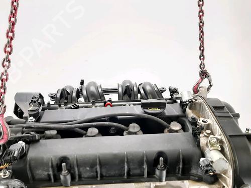 Engine FORD KA+ III (UK, FK)  | BP33309806M1  - Image 5