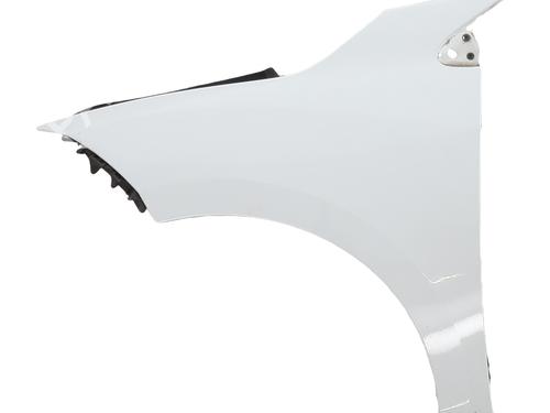 Used Left front fenders RENAULT MEGANE III Hatchback (BZ0/1_, B3_) 1.5 dCi (86 hp) 30523771