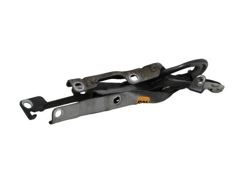 Hinge/Door check strap PEUGEOT 207 (WA_, WC_) 1.6 HDi 110 | BP29602763C146 
