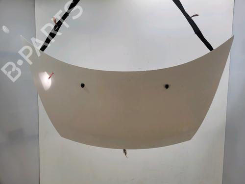 hood-citroen-c3-i-fc_-fn_-2002-2003-2004-2005-2006-2007-2008-2009-2010-2011-2012-2013-31913205 main image