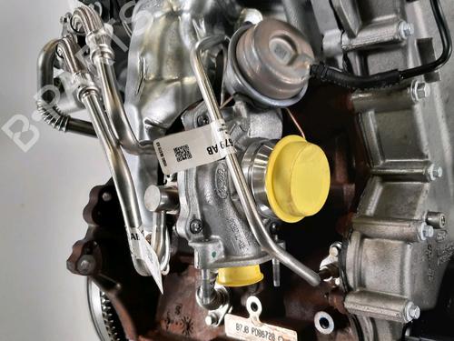 Engine FORD PUMA (J2K, CF7) 1.0 EcoBoost mHEV | BP31349175M1