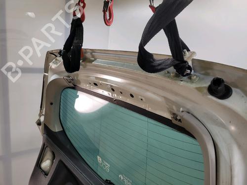 Tailgate RENAULT MEGANE III Hatchback (BZ0/1_, B3_) 1.5 dCi (BZ09, BZ0D, BZ1W, BZ29, BZ14) | BP29495973C6 