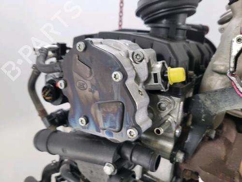 Engine SEAT IBIZA III (6L1) 1.4 TDI | BP24425596M1 
