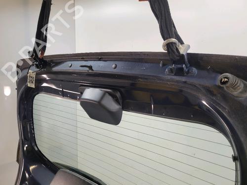 Tailgate DACIA SANDERO II 1.2 | BP31913401C6