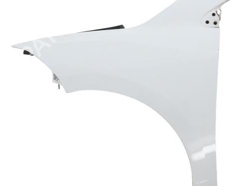 Used Left front fenders RENAULT MEGANE III Hatchback (BZ0/1_, B3_) 1.5 dCi (BZ09, BZ0D, BZ1W, BZ29, BZ14) (110 hp) 29552585