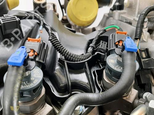 Engine RENAULT CLIO V (B7_) 1.5 Blue dCi 85 (B7AG) | BP32006387M1 