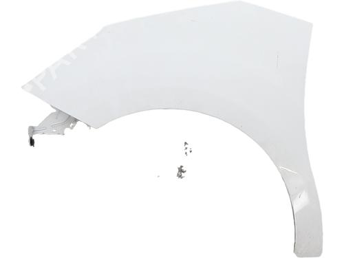 left-front-fenders-citroen-c3-ii-sc_-2009-31963851 main image