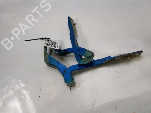 Hinge/Door check strap PEUGEOT 307 Break (3E) 2.0 HDI 110 | BP27919419C146 