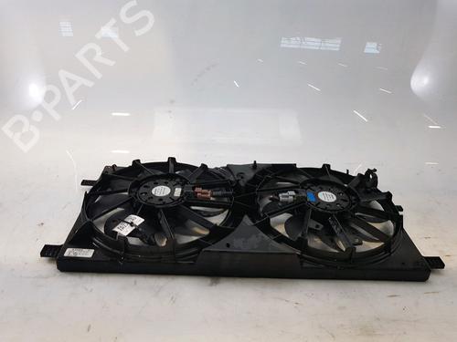 Used Radiator fan RENAULT LATITUDE (L70_) 2.0 dCi 175 (L70Y, L734) (173 hp) 16348302
