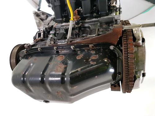 Engine RENAULT CLIO III (BR0/1, CR0/1) 1.2 16V (BR02, BR0J, BR11, CR02, CR0J, CR11) | BP31607099M1 