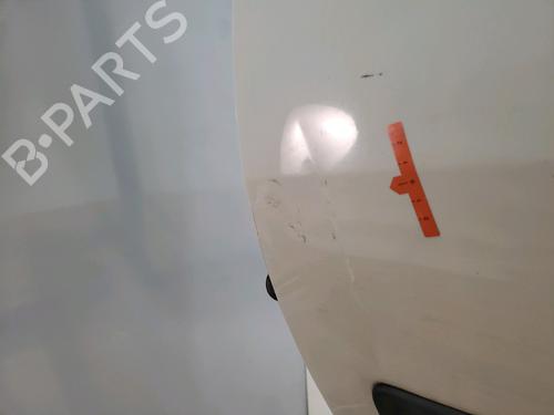 Left front door DACIA LOGAN EXPRESS (FS_) 1.5 dCi | BP30048480C2 