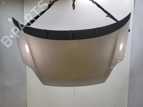 Hood FIAT PUNTO EVO (199_) 1.3 D Multijet (199AXC1A, 199BXC1A, 199AXT1A, 199BXT1A) | BP29849299C1