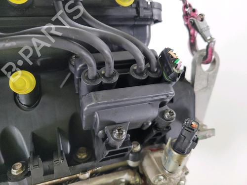 Engine RENAULT TWINGO II (CN0_) 1.2 16V (CN04, CN0B) | BP29231579M1 