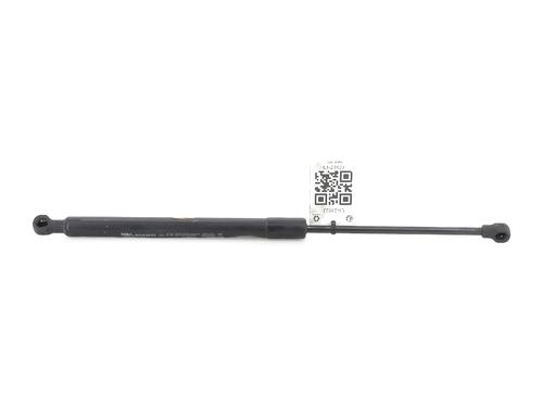 Hood lift support DACIA LODGY (JS_) 1.2 TCe (JSAY, JSM0) | BP27911803C139 