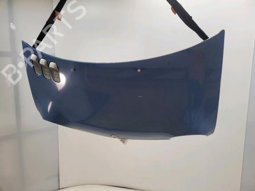 Used Hood RENAULT TWINGO I (C06_) 1.2 (C063, C064) (55 hp) 30119032