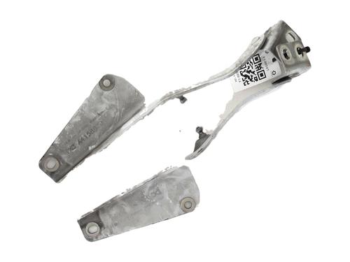 hingedoor-check-strap-renault-kangoo-express-fw01_-2008-32255851 main image