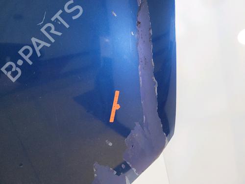 Hood RENAULT MEGANE II (BM0/1_, CM0/1_)  | BP25797514C1 