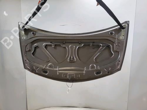 Hood RENAULT CLIO III (BR0/1, CR0/1)  | BP25622576C1 