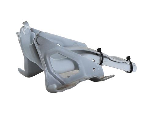 Hinge/Door check strap RENAULT CLIO V (B7_) 1.6 E-TECH 145 (B7MU) | BP30800188C146