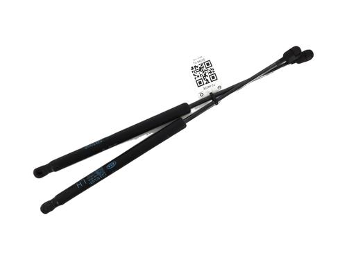 Used Tailgate lift support KIA PICANTO I (SA) 1.1 CRDi (75 hp) 31844499