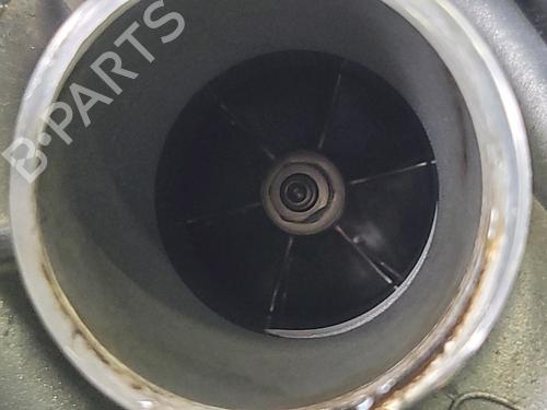 Engine FORD FIESTA VII (HJ, HF) 1.0 EcoBoost Active | BP29740877M1 