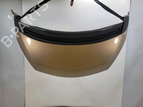 Used Hood RENAULT ESPACE IV (JK0/1_) 2.0 dCi (JK03, JK04, JK1C, JK1G, JK1J, JK1K) (173 hp) 32130877