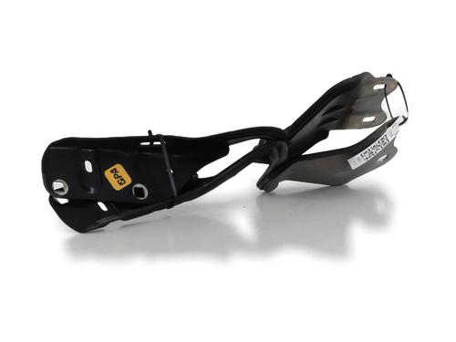 Hinge/Door check strap RENAULT TWINGO II (CN0_) 1.6 RS (CN0N, CN0R, CN0S) | BP30632841C146