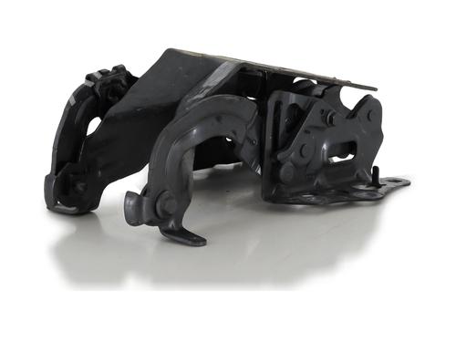 Hinge/Door check strap MERCEDES-BENZ C-CLASS (W205) C 350 e (205.047) | BP27914273C146 