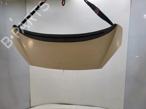 Used Hood PEUGEOT 1007 (KM_) 1.6 HDi (109 hp) 31284748