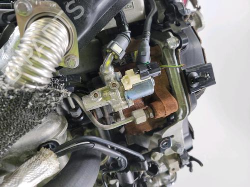 Engine FORD C-MAX II (DXA/CB7, DXA/CEU) 1.6 TDCi | BP29416492M1 