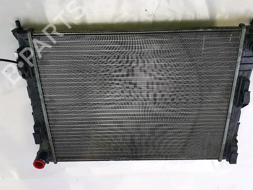 Used Water radiator RENAULT TWINGO II (CN0_) 1.2 16V (CN0K, CN0V, CN0A) (76 hp) 28310429
